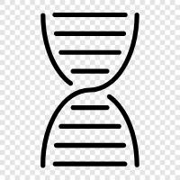 Gen, genetische, Chromosomen, Mutation symbol