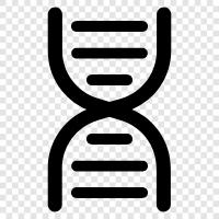 Gen, Mutationen, Gentests, DNASequenzierung symbol