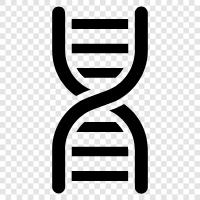 gen, kromozomlar, DNA metilasyonu, genetik hastalıklar ikon svg