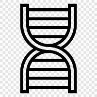 gene, genetic, DNA sequencing, genome icon svg