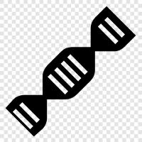 genes, chromosomes, genetic code, genetic disorders icon svg