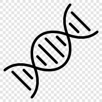 гены, хромосомы, анализ ДНК, генетический код Значок svg