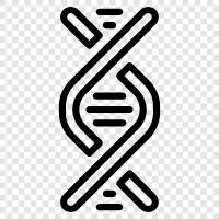 genetic, gene, family, ancestry icon svg