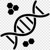 genetic, chromosomes, DNA sequencing, hereditary icon svg