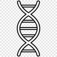 genetic, genetics, hereditary, DNA fingerprint Значок svg