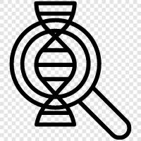 genetic data, genetic testing, genetic analysis, genetic fingerprinting icon svg