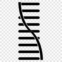 genetic, mutations, chromosome, DNA sequencing icon svg