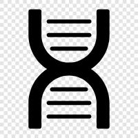 genetic, chromosomes, DNA fingerprinting, genetic code icon svg