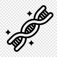 genetic, gene, mutation, gene mutation icon svg