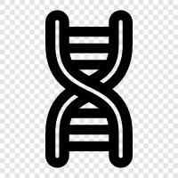 genetic, chromosomes, gene, mutation icon svg