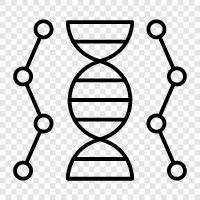 Genetic, Genetic code, DNA sequencing, DNA replication icon svg