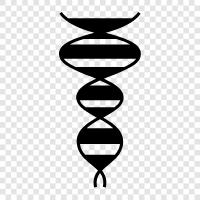 genetische, Chromosomen, genetischer Code, DNATest symbol