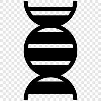 genetic, chromosomes, DNA sequencing, genetic code icon svg