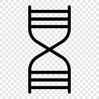 genetic, chromosome, genetic code, mutations icon svg