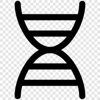 genetic, genetic code, DNA methylation, DNA replication icon svg