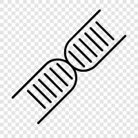 genetische, Chromosomen, genetischer Code, DNATest symbol