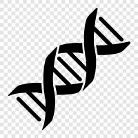 genetic, mutations, chromosomes, genes icon svg