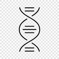 genetic, genetic code, gene, mutation icon svg