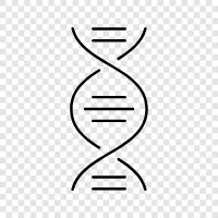 genetic, genetics, DNA sequencing, genetic sequencing icon svg