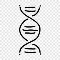 genetic, gene, genetic code, genetic mutation icon svg