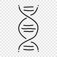 genetic, genetics, gene, genetic code icon svg