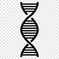 genetische, Chromosom, genetischer Code, genetische Mutation symbol