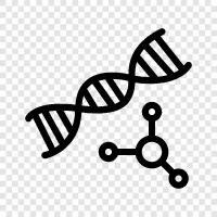 genetic, chromosomes, DNA sequencing, genetic testing icon svg