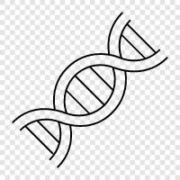 genetic, chromosomes, gene, mutation icon svg