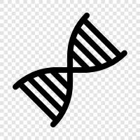 genetic, genetic information, genetic code, genetic testing icon svg