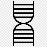 genetic, genetic code, genetic engineering, DNA testing icon svg