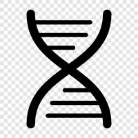 genetic, chromosomes, DNA sequencing, genetic code icon svg