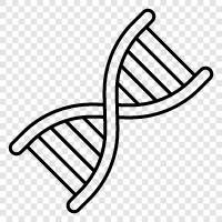 genetic, gene, chromosomes, mutation icon svg