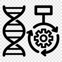 genetic programming, simulated annealing, crossover, mutation icon svg