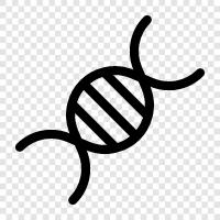 genetische, Chromosomen, DNASequenzierung, genetischer Code symbol