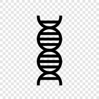 genetic, chromosomes, mutation, inheritance icon svg