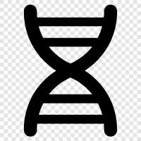 genetische, Chromosomen, genetischer Code, Mutation symbol