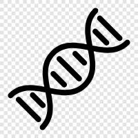 genetic, genetics, hereditary, genetic code icon svg