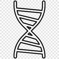 genetik, kromozom, genetik kod, genetik mutasyon ikon svg