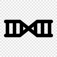 genetic sequencing, mutation, hereditary, DNA fingerprinting icon svg