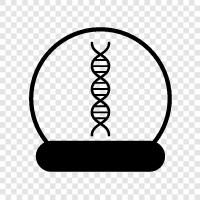 Genetic testing, Genetic predictor, Genetic genealogy, Genetic counseling icon svg