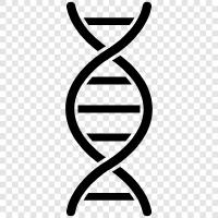 genetics, gene, chromosomes, DNA sequence Значок svg