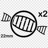 genetics, chromosomes, gene, mutation icon svg