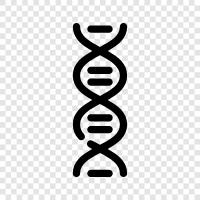 genetics, inheritance, mutation, genetic code icon svg