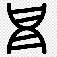 genetics, chromosomes, genetic code, DNA fingerprinting icon svg