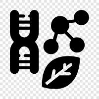 genetics, evolution, cells, proteins icon svg