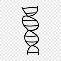 genetics, genome, genetic code, DNA sequencing icon svg