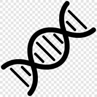 Генетика, хромосомы, последовательность ДНК, генетические маркеры Значок svg