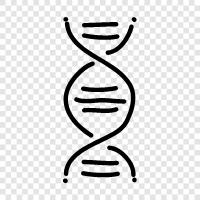 genetics, gene, genetic code, DNA sequencing icon svg