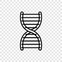 genetics, molecular biology, sequencing, DNA methylation icon svg