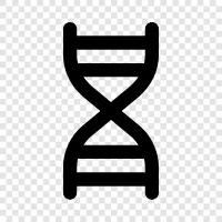 genetics, inheritance, chromosomes, DNA sequencing icon svg